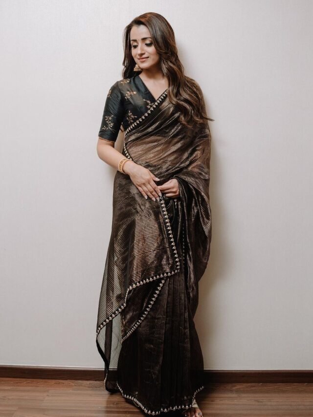 Trisha Looked Beautiful Like A Nymph In A Sari, Fans Were Left Watching