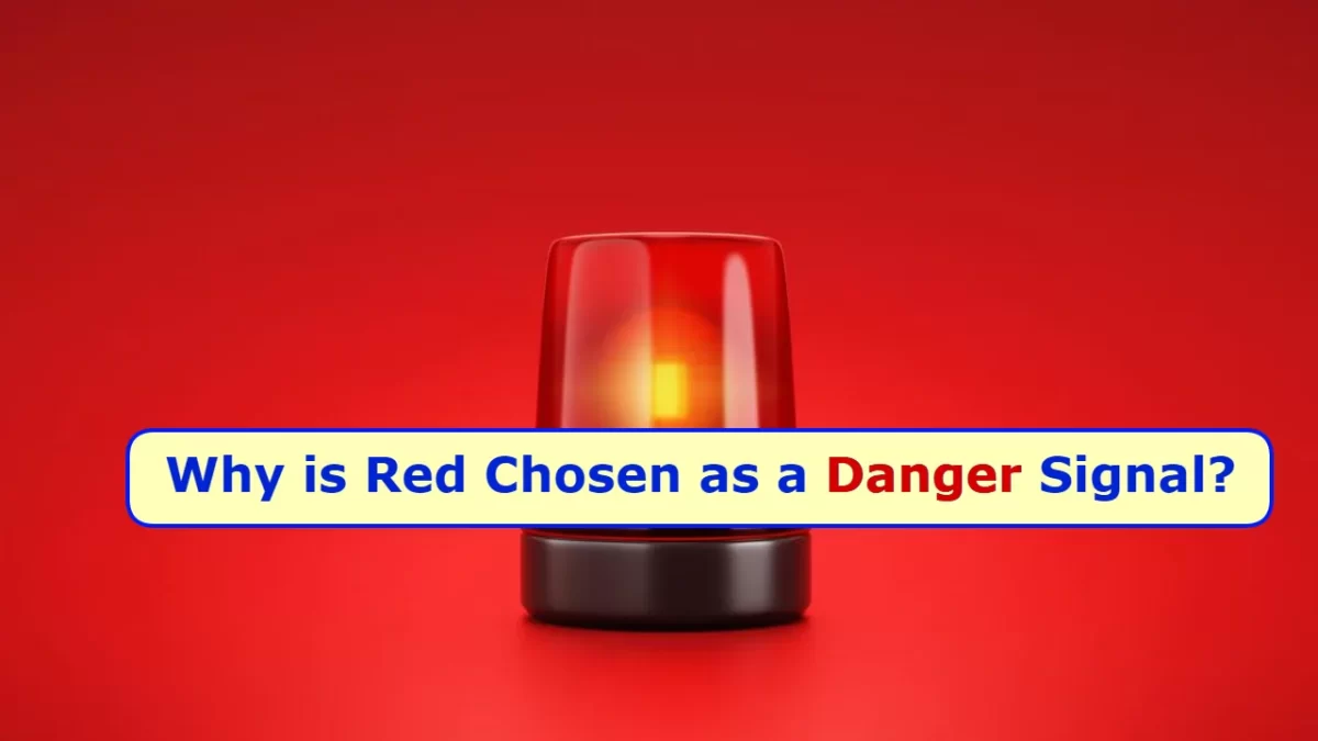 Do You Know: Why is Red Chosen as a Danger Signal? Is There Any Science Behind It?