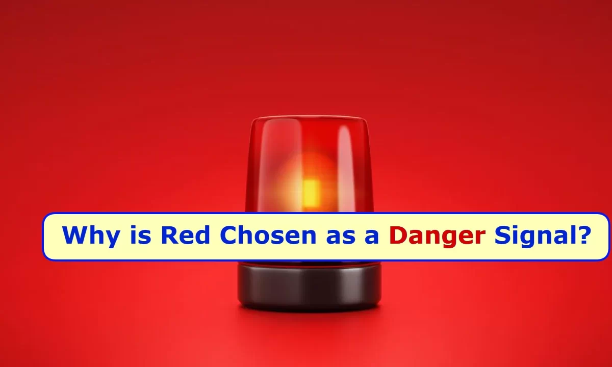 Do You Know: Why is Red Chosen as a Danger Signal? Is There Any Science Behind It?