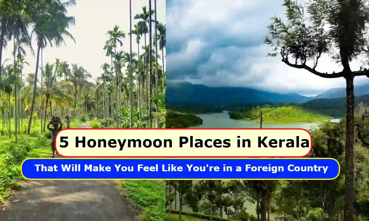 5 Honeymoon Places in Kerala That Will Make You Feel Like You're in a Foreign Country