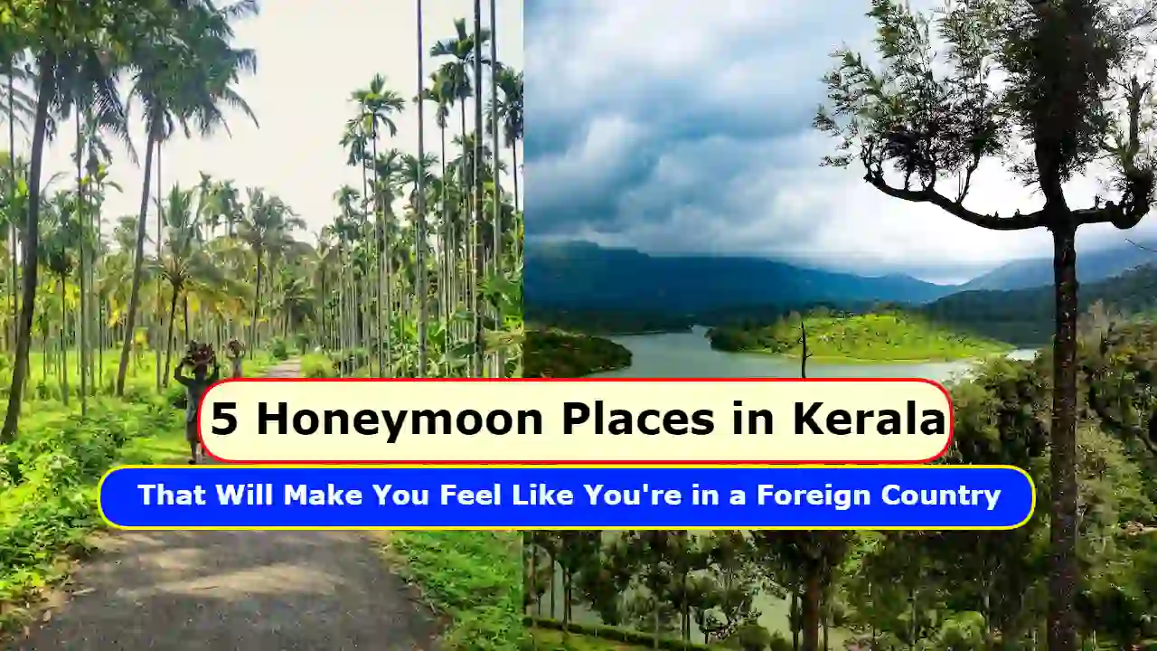 5 Honeymoon Places in Kerala That Will Make You Feel Like You're in a Foreign Country