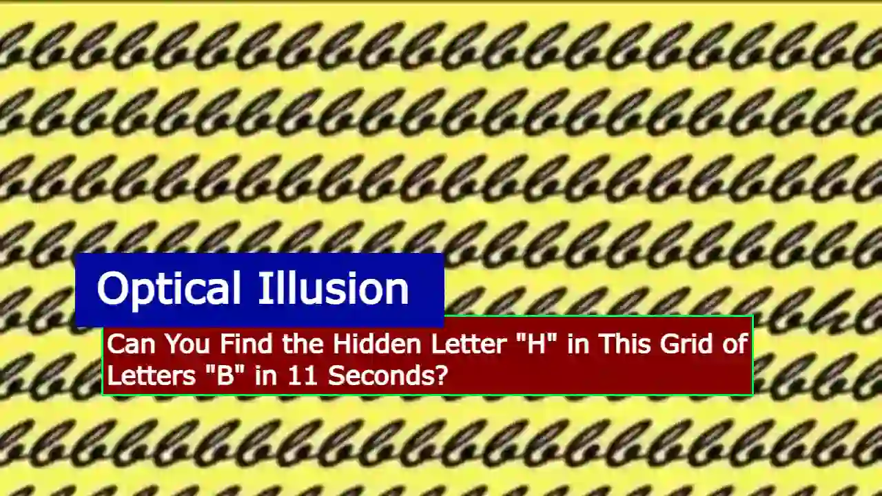 Optical Illusion: Can You Find the Hidden Letter 'H' in This Grid of Letters 'B' in 11 Seconds?
