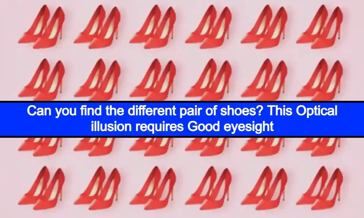 Can you find the different pair of shoes? This Optical illusion requires Good eyesight