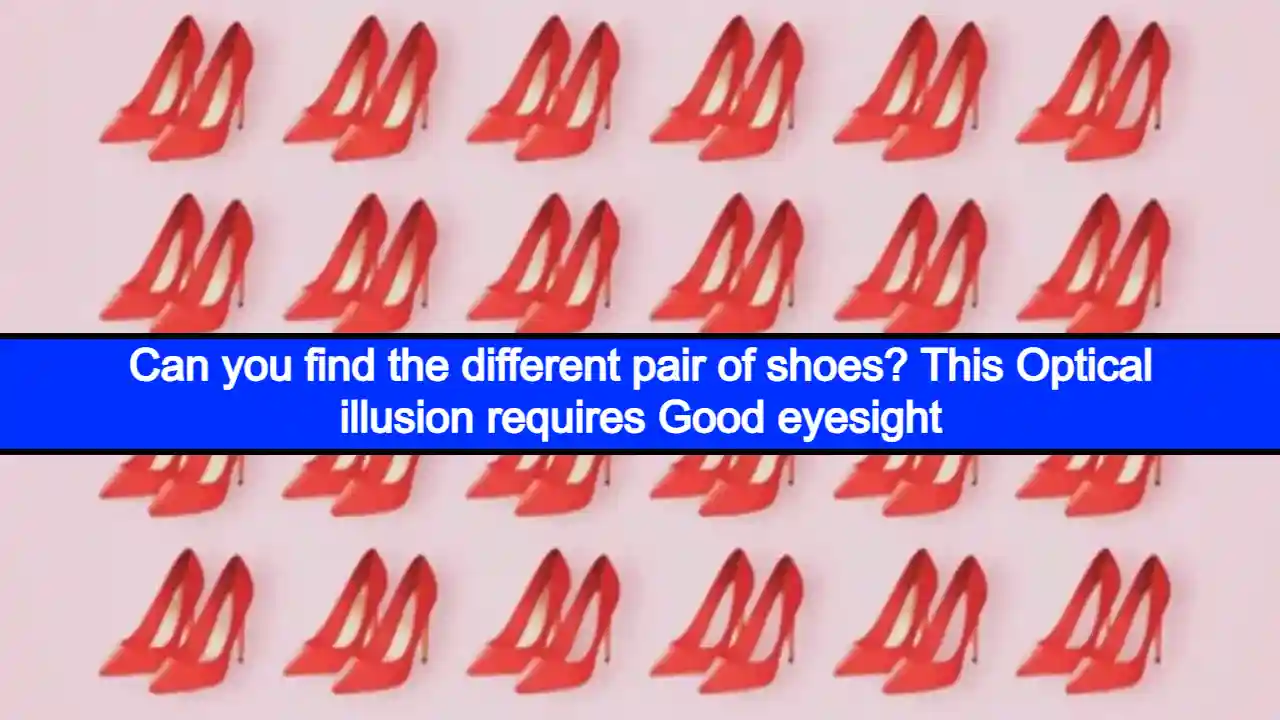 Can you find the different pair of shoes? This Optical illusion requires Good eyesight