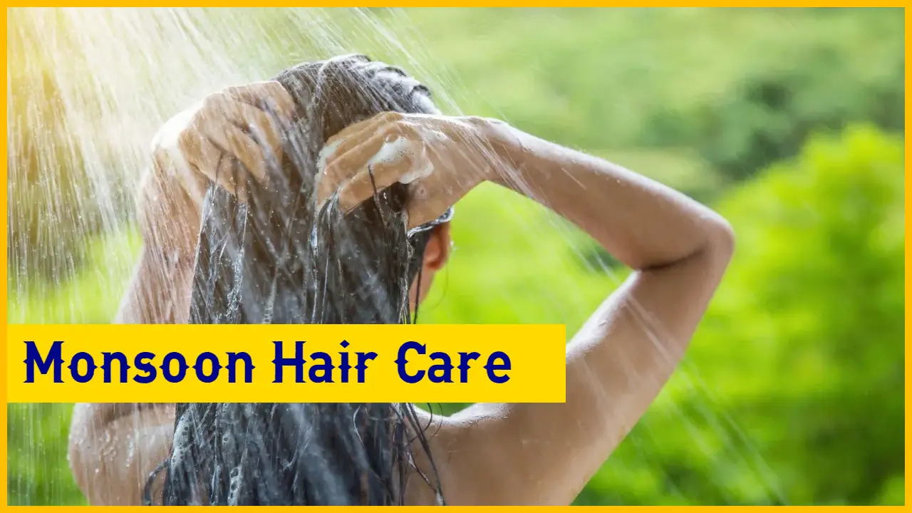 Monsoon Hair Care: Protect Your Hair with Avocado Oil, Must Apply These Tips